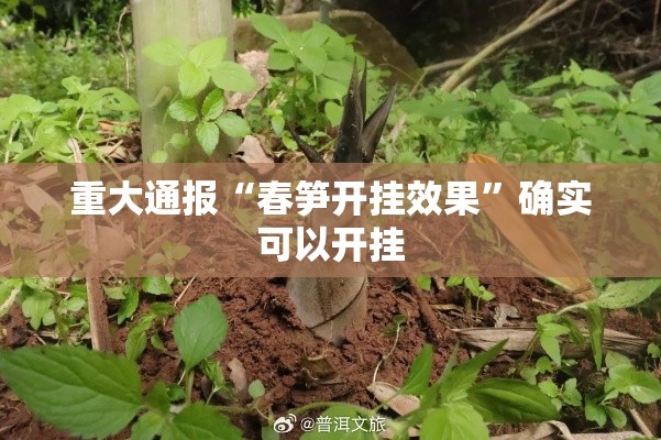 重大通报“春笋开挂效果”确实可以开挂