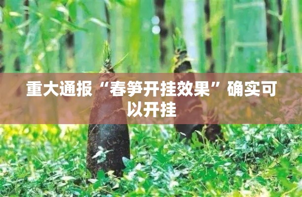 重大通报“春笋开挂效果”确实可以开挂