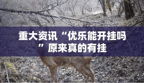 重大资讯“优乐能开挂吗	”原来真的有挂