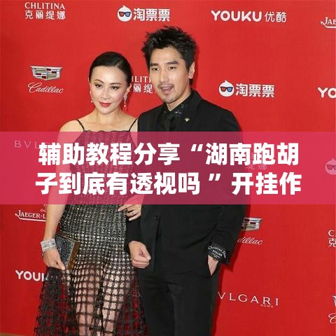 辅助教程分享“湖南跑胡子到底有透视吗 ”开挂作弊