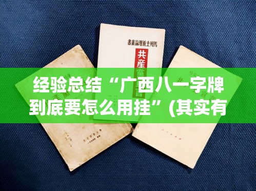 经验总结“广西八一字牌到底要怎么用挂”(其实有挂)