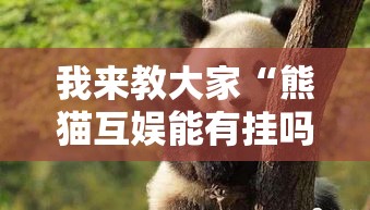 我来教大家“熊猫互娱能有挂吗”真可以装挂