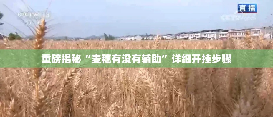 重磅揭秘“麦穗有没有辅助”详细开挂步骤