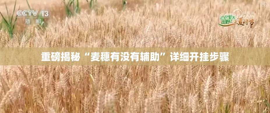 重磅揭秘“麦穗有没有辅助	”详细开挂步骤