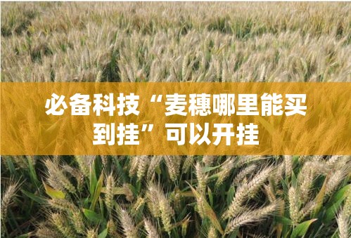 必备科技“麦穗哪里能买到挂”可以开挂