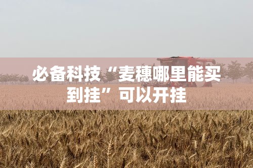 必备科技“麦穗哪里能买到挂”可以开挂