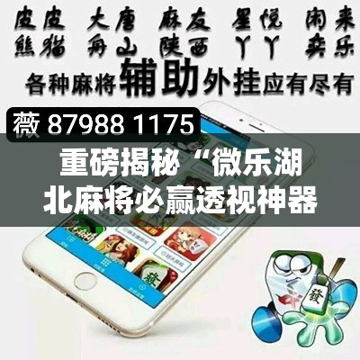 重磅揭秘“微乐湖北麻将必赢透视神器”专业师傅带你了解