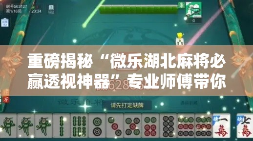 重磅揭秘“微乐湖北麻将必赢透视神器”专业师傅带你了解