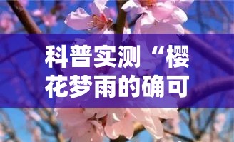 科普实测“樱花梦雨的确可以开挂”太坑了真的有挂