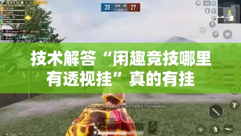 技术解答“闲趣竞技哪里有透视挂”真的有挂