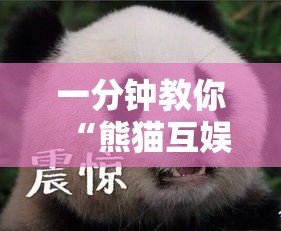 一分钟教你“熊猫互娱果然有挂	”详细开挂教材
