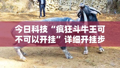 今日科技“疯狂斗牛王可不可以开挂”详细开挂步骤