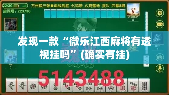发现一款“微乐江西麻将有透视挂吗”(确实有挂)