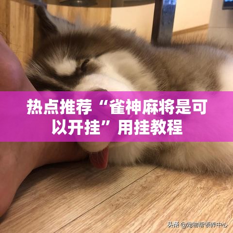 热点推荐“雀神麻将是可以开挂”用挂教程