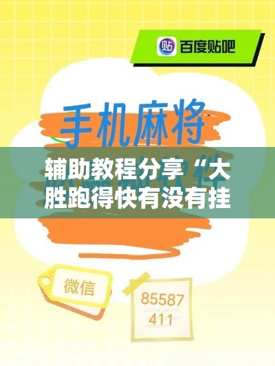 辅助教程分享“大胜跑得快有没有挂”分享装挂详细步骤