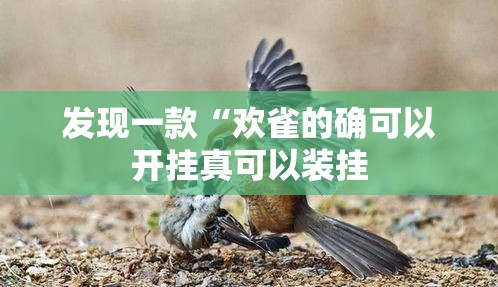 发现一款“欢雀的确可以开挂真可以装挂