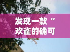 发现一款“欢雀的确可以开挂真可以装挂 发现一款“欢雀的确可以开挂真可以装挂