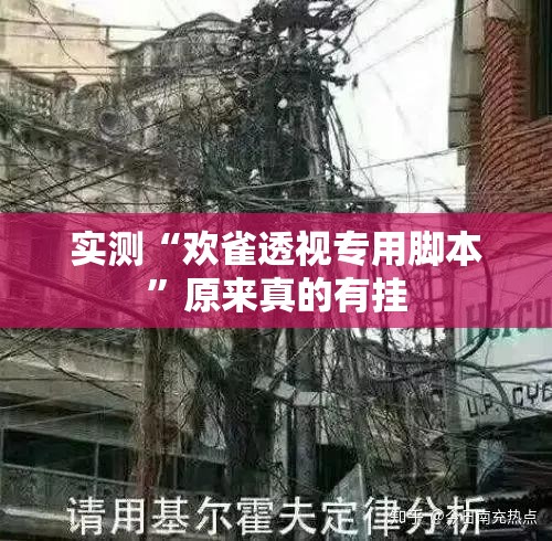 实测“欢雀透视专用脚本”原来真的有挂