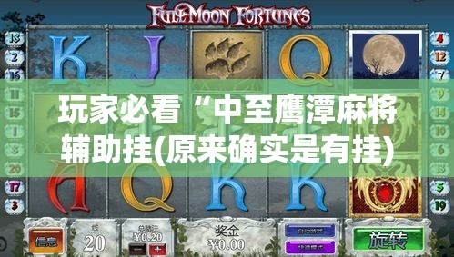 玩家必看“中至鹰潭麻将辅助挂(原来确实是有挂)