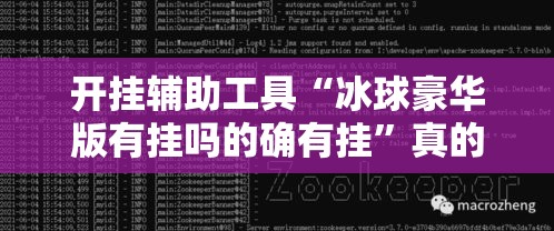 开挂辅助工具“冰球豪华版有挂吗的确有挂”真的确实有挂