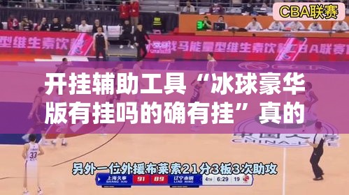 开挂辅助工具“冰球豪华版有挂吗的确有挂”真的确实有挂