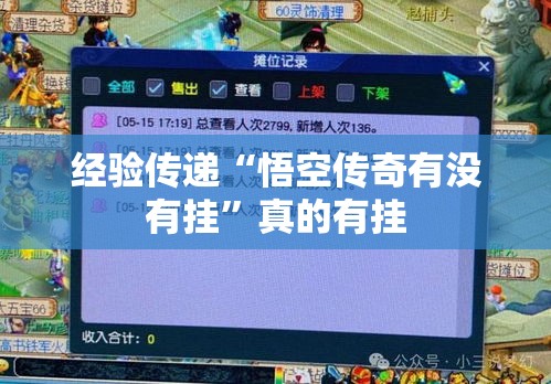 经验传递“悟空传奇有没有挂”真的有挂