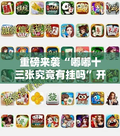 重磅来袭“嘟嘟十三张究竟有挂吗”开挂步骤方法