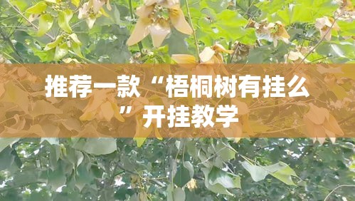 推荐一款“梧桐树有挂么	”开挂教学