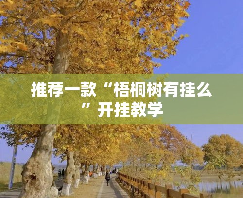 推荐一款“梧桐树有挂么”开挂教学