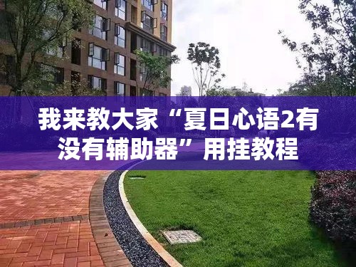 我来教大家“夏日心语2有没有辅助器	”用挂教程