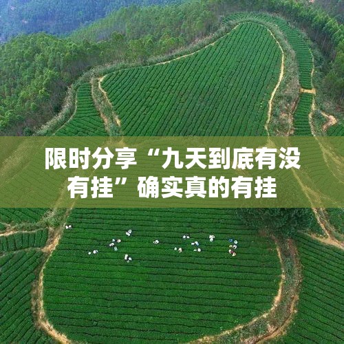 限时分享“九天到底有没有挂”确实真的有挂