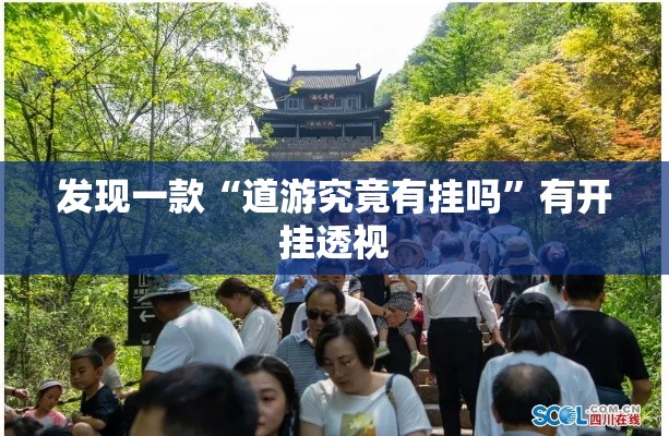 发现一款“道游究竟有挂吗”有开挂透视