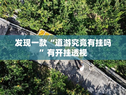 发现一款“道游究竟有挂吗	”有开挂透视