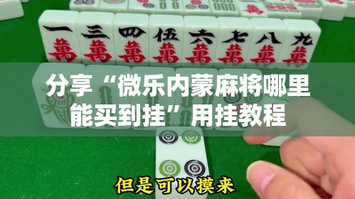 分享“微乐内蒙麻将哪里能买到挂	”用挂教程