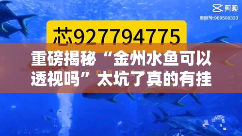 重磅揭秘“金州水鱼可以透视吗	”太坑了真的有挂