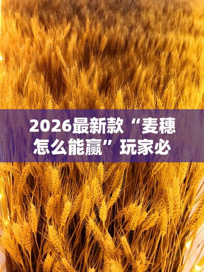 2026最新款“麦穗怎么能赢”玩家必备神器