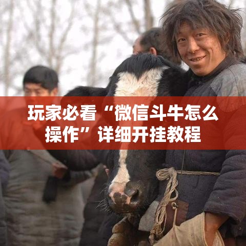 玩家必看“微信斗牛怎么操作”详细开挂教程