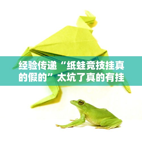经验传递“纸蛙竞技挂真的假的”太坑了真的有挂