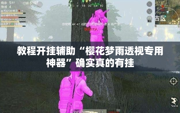 教程开挂辅助“樱花梦雨透视专用神器”确实真的有挂
