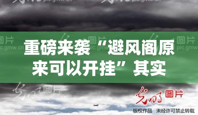 重磅来袭“避风阁原来可以开挂”其实是有挂