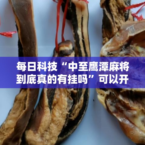 每日科技“中至鹰潭麻将到底真的有挂吗”可以开挂教程