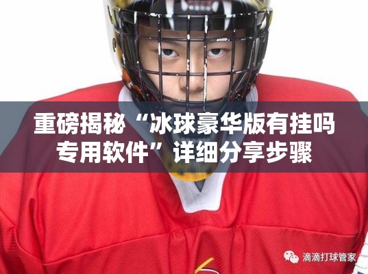 重磅揭秘“冰球豪华版有挂吗专用软件”详细分享步骤