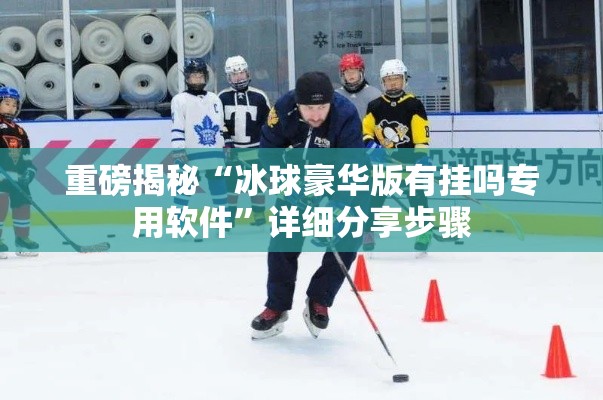 重磅揭秘“冰球豪华版有挂吗专用软件	”详细分享步骤