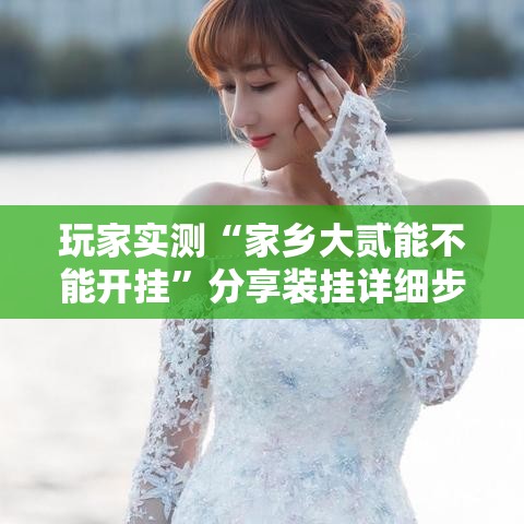 玩家实测“家乡大贰能不能开挂	”分享装挂详细步骤