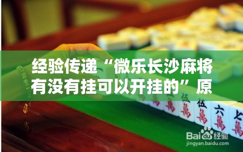 经验传递“微乐长沙麻将有没有挂可以开挂的”原来确实有挂
