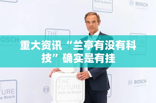 重大资讯“兰亭有没有科技”确实是有挂