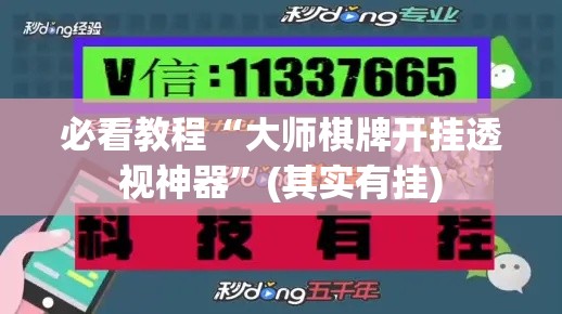必看教程“大师棋牌开挂透视神器”(其实有挂)