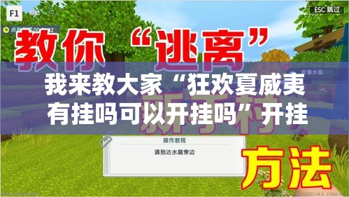 我来教大家“狂欢夏威夷 有挂吗可以开挂吗	”开挂教学