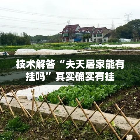 技术解答“夫天居家能有挂吗”其实确实有挂