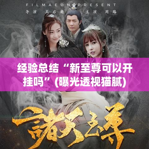 经验总结“新至尊可以开挂吗”(曝光透视猫腻)